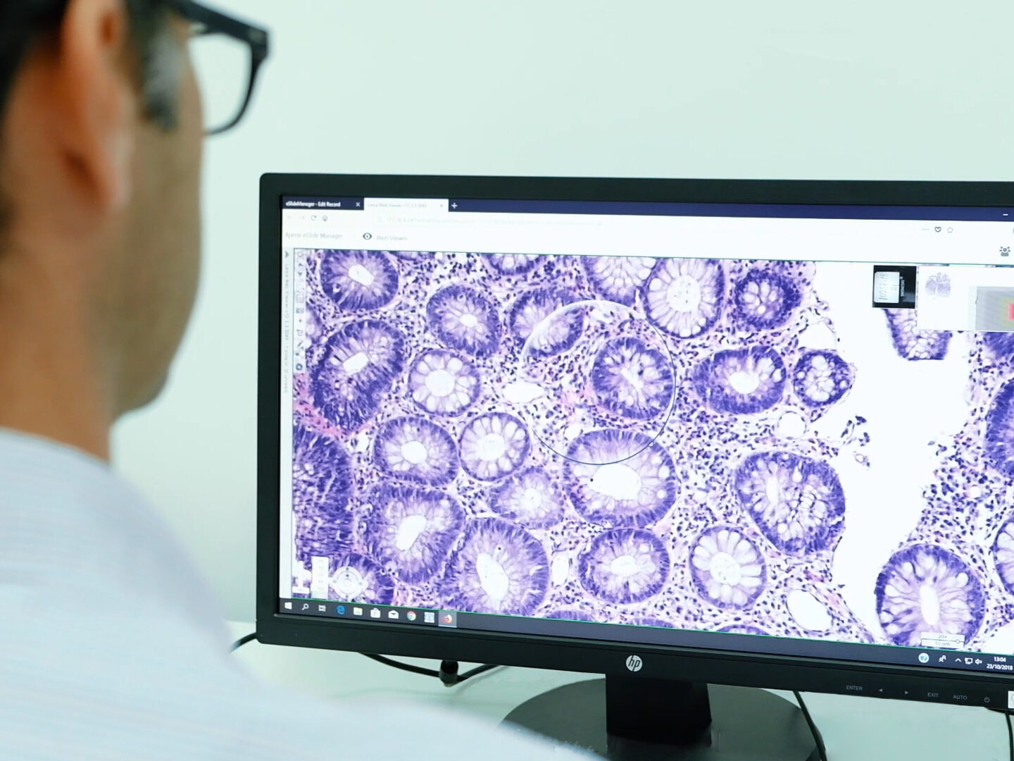 Logopat Grupo Echevarne