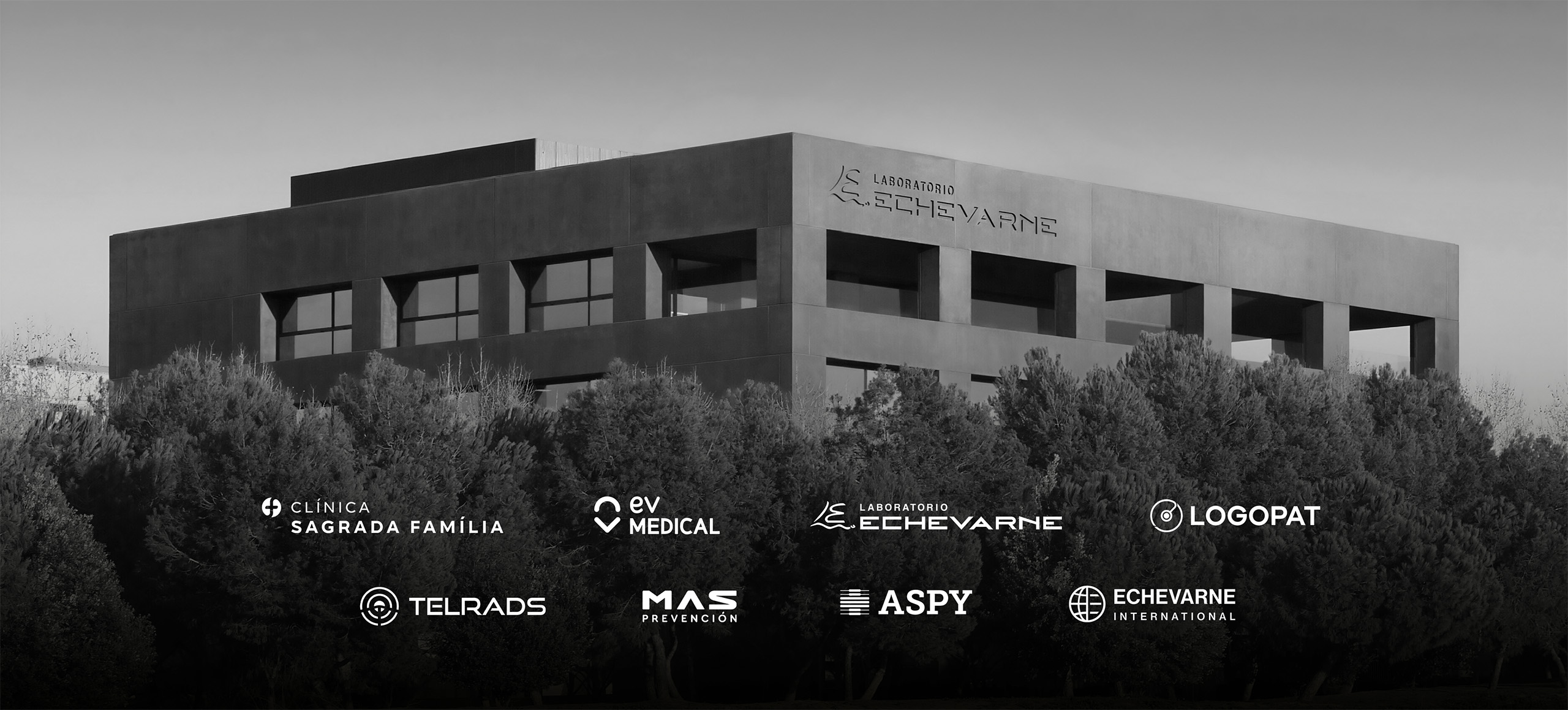 Grupo Echevarne Holding empresarial sector salud.